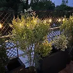 Petit Cocon Des Rives Proche Stanislas-terrasse & Parking Gratuit Nancy