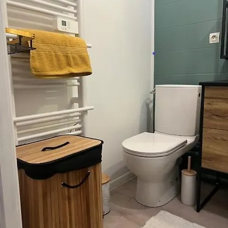 Petit Cocon Des Rives Proche Stanislas 公寓