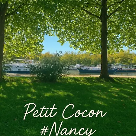 公寓 Petit Cocon Des Rives Proche Stanislas *