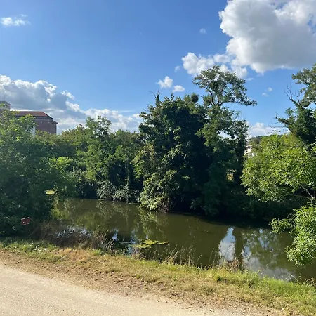 Petit Cocon Des Rives Proche Stanislas-terrasse & Parking Gratuit Appartement *