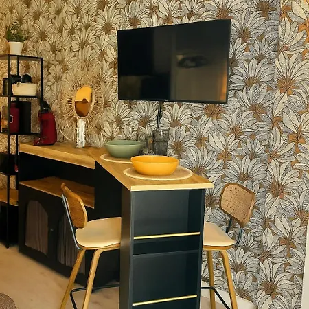 Appartement Petit Cocon Des Rives Proche Stanislas-terrasse & Parking Gratuit *