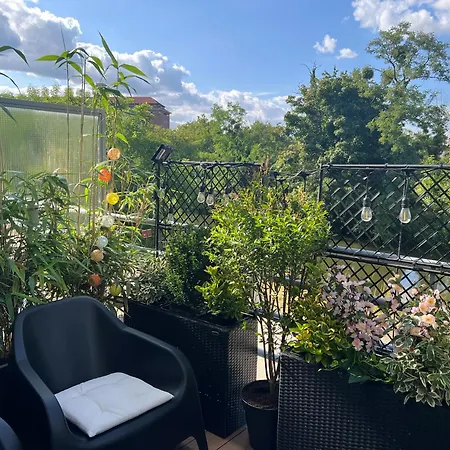 公寓 Petit Cocon Des Rives Proche Stanislas *