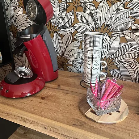 Apartamento Petit Cocon Des Rives Proche Stanislas