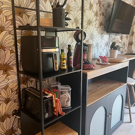 Petit Cocon Des Rives Proche Stanislas-terrasse & Parking Gratuit * ナンシー