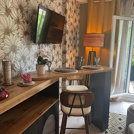 Petit Cocon Des Rives Proche Stanislas 公寓 南锡