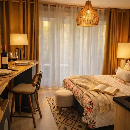 Petit Cocon Des Rives Proche Stanislas * Nancy