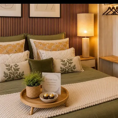 Petit Cocon Des Rives Proche Stanislas-terrasse & Parking Gratuit Appartement