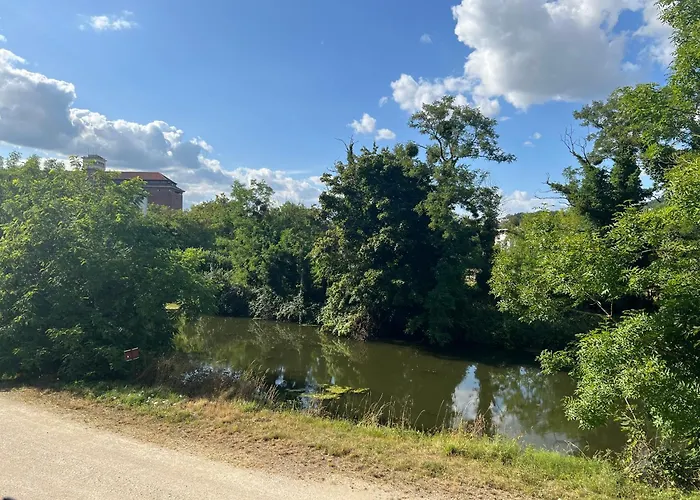 Petit Cocon Des Rives Proche Stanislas Apartament *