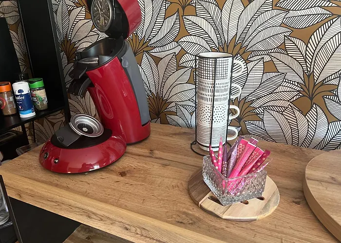 Apartamento Petit Cocon Des Rives Proche Stanislas