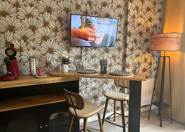 Petit Cocon Des Rives Proche Stanislas-terrasse & Parking Gratuit Nancy