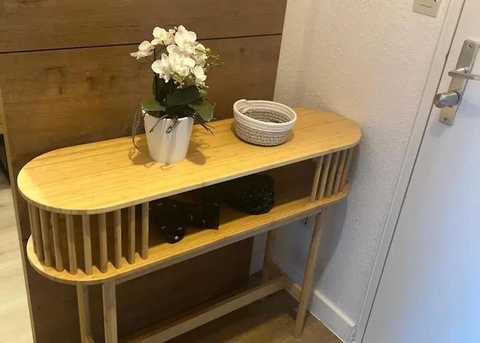 Apartamento Petit Cocon Des Rives Proche Stanislas